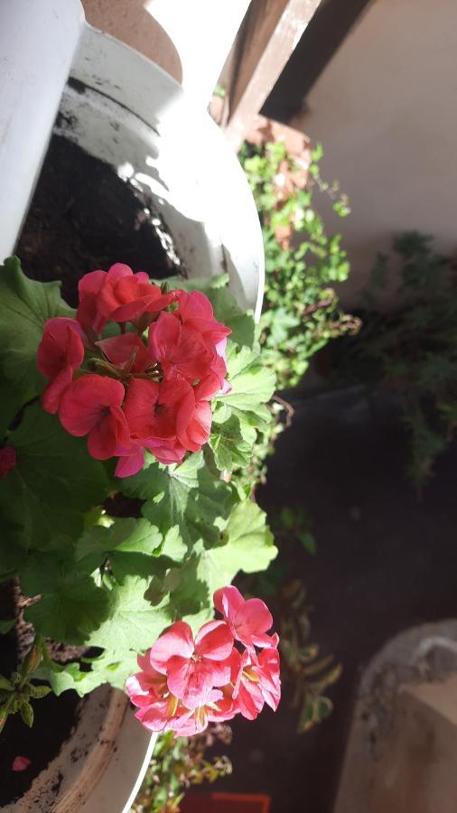 Apartment Vieille 2 - La Petite Maison A Safranier, 2 Bedrooms, Max 4 Adults And 2 Kids