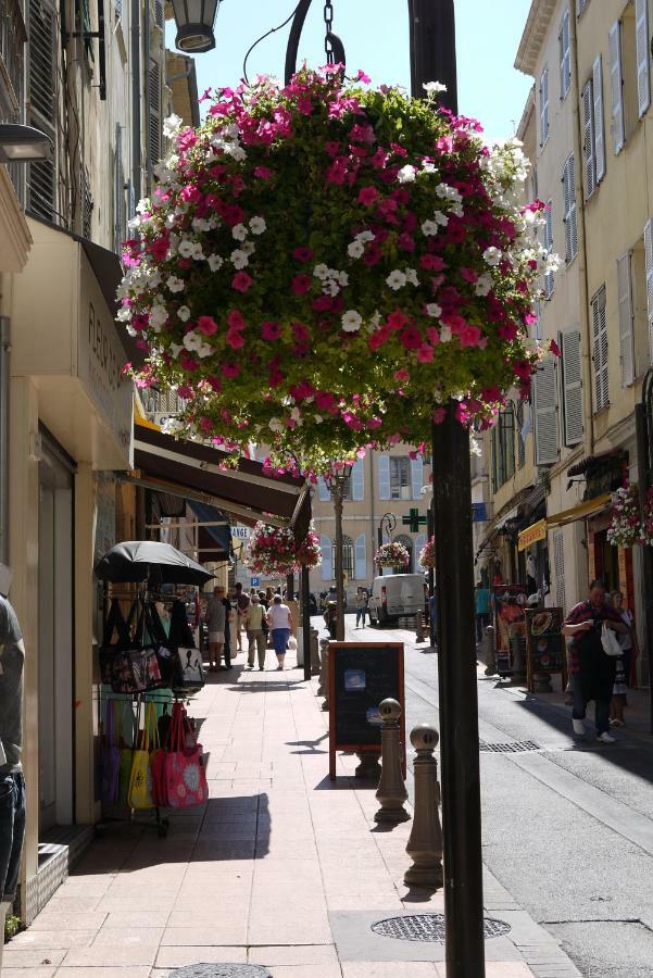 Vieille 2 - La Petite Maison A Safranier, 2 Bedrooms, Max 4 Adults And 2 Kids Apartment