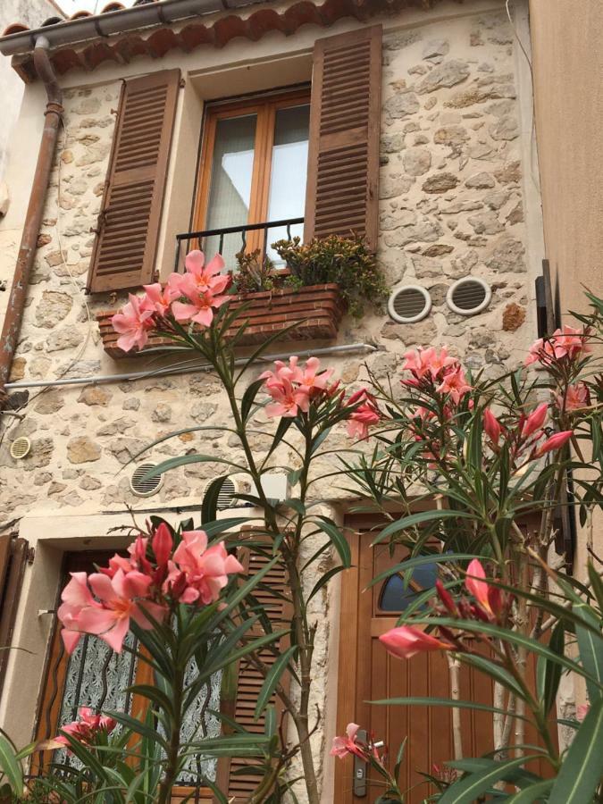Vieille 2 - La Petite Maison A Safranier, 2 Bedrooms, Max 4 Adults And 2 Kids Apartment
