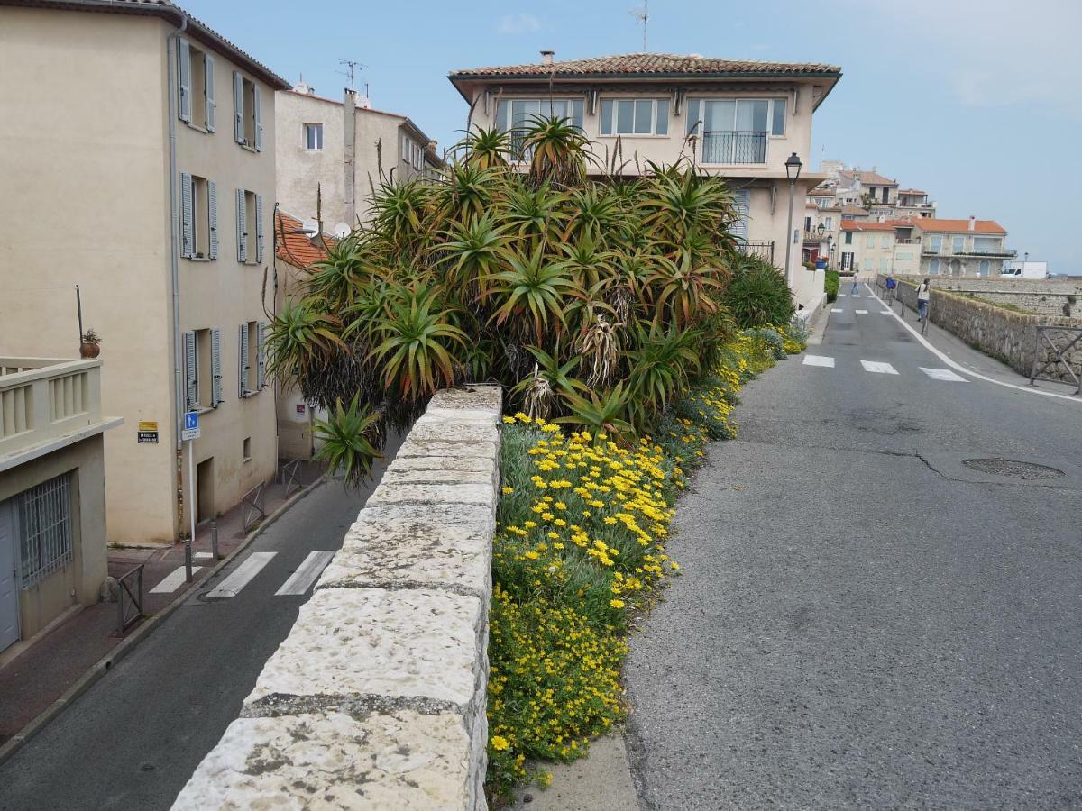 Vieille 2 - La Petite Maison A Safranier, 2 Bedrooms, Max 4 Adults And 2 Kids Apartment *